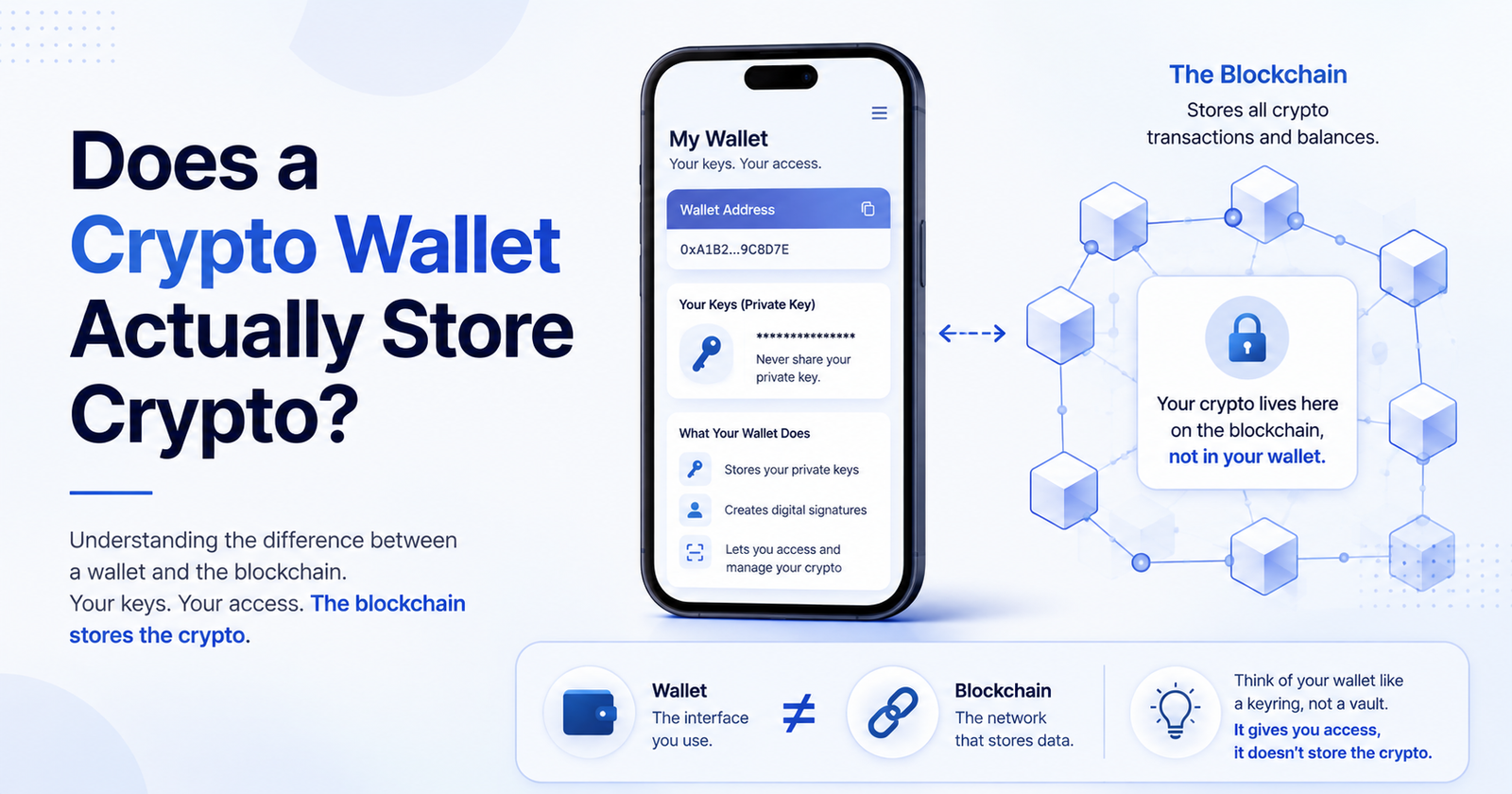 Does a Crypto Wallet Actually Store Crypto?